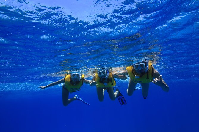 Waikiki, Hawaii: Turtle Canyon Snorkel Excursion - Food and Comfort: The Little Things That Make Snorkeling Feel Easier