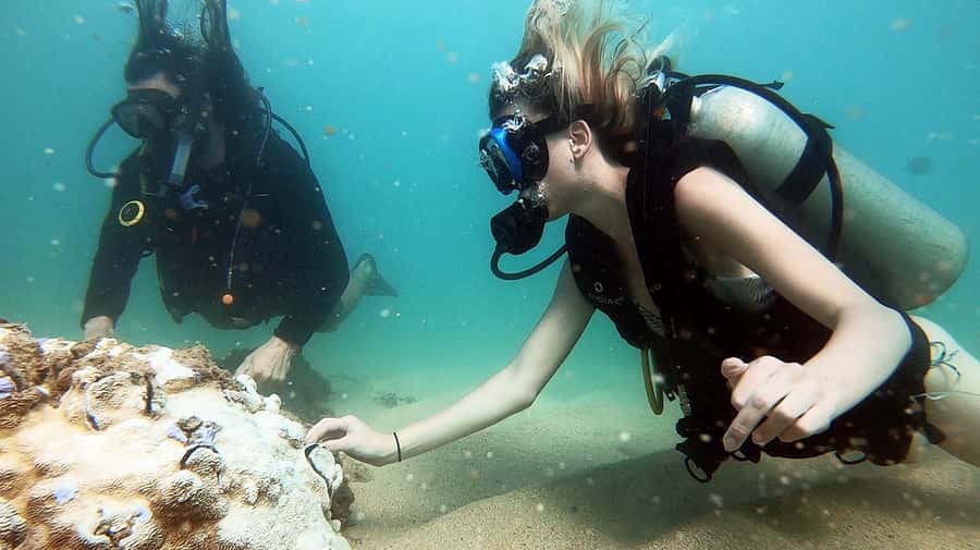 Waikiki: Honolulu Beginner Scuba Diving with Videos - Key Points You’ll Care About