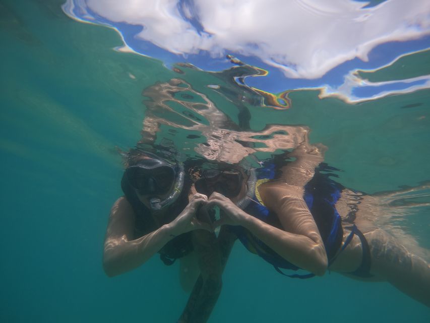 Waikiki: Honolulu Beginner Snorkeling Tour with Videos - Key things that make this Waikiki snorkeling tour worth it