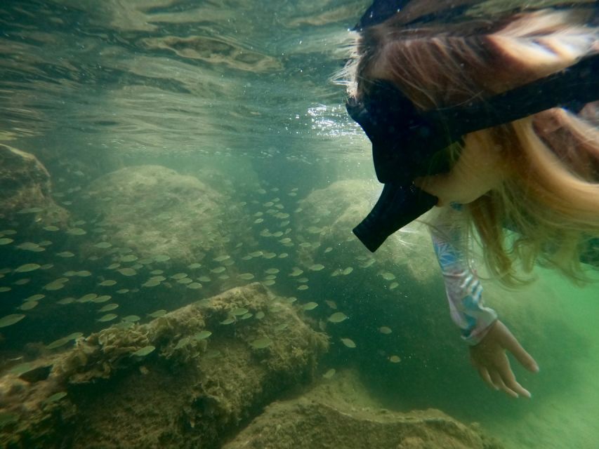 Waikiki: Honolulu Beginner Snorkeling Tour with Videos - Magic Island Lagoon: Waikiki snorkeling that actually works for beginners