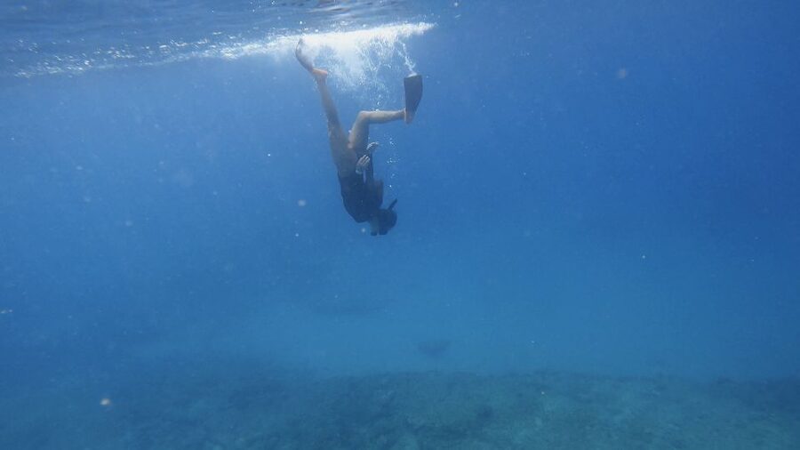 Waikiki: Honolulu Beginner Snorkeling Tour with Videos - The 90-minute flow: briefing, shallow-water practice, then follow the instructor