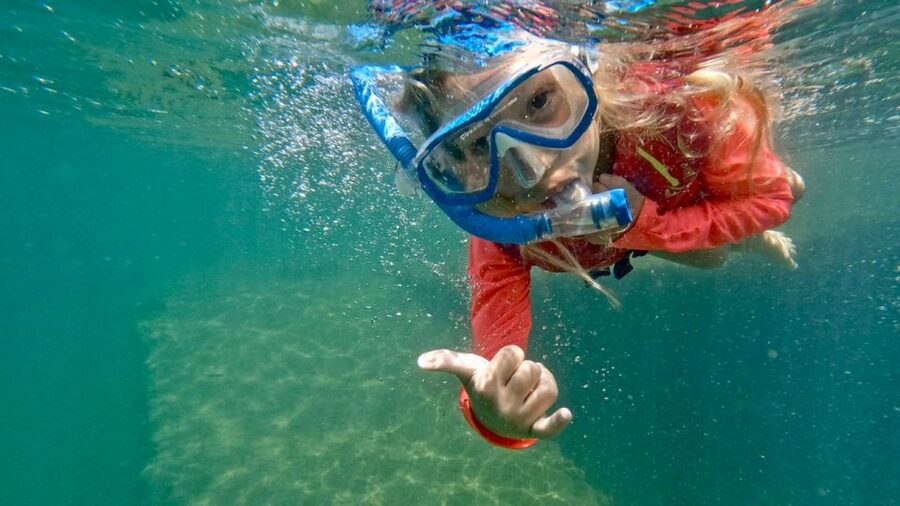 Waikiki: Honolulu Beginner Snorkeling Tour with Videos - Price and value: is $59 worth it for a beginner tour?