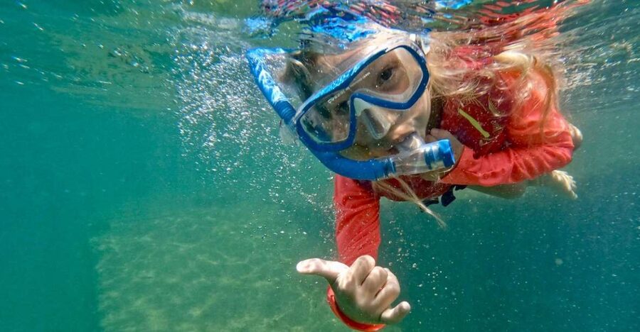 Waikiki: Honolulu Beginner Snorkeling Tour with Videos - Getting set up right: gear practice, life vest option, and mask rules
