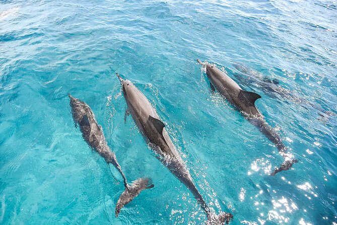 Waikiki's Premier Small Group Sunset Yacht + Tasting - Diamond Head Crater Stop: Why This Timing Works