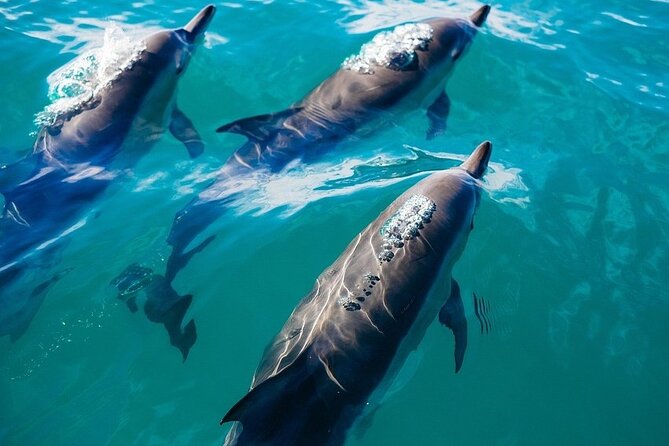 Waikiki Sail and Snorkel Adventure Best of Hawaii 2023 - How the 3-hour timing usually feels on a private outing