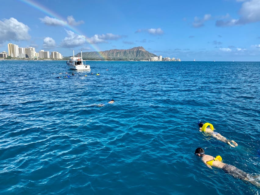 Waikiki: Sea Turtle Snorkeling, Small Group Boat Tour - Price and value: is $116 worth it for a 2-hour tour?