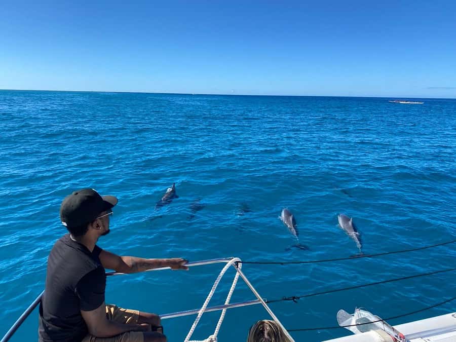 Waikiki: Sea Turtle Snorkeling, Small Group Boat Tour - Who should book this Waikiki turtle boat tour?