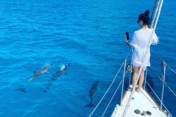 Waikiki small group turtle snorkeling & sailing - A 45-foot yacht and a max of 6: the comfort tradeoff