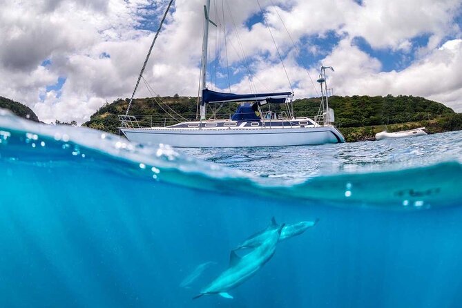 Waikiki small group turtle snorkeling & sailing - Dolphins, safety, and seasickness reality checks