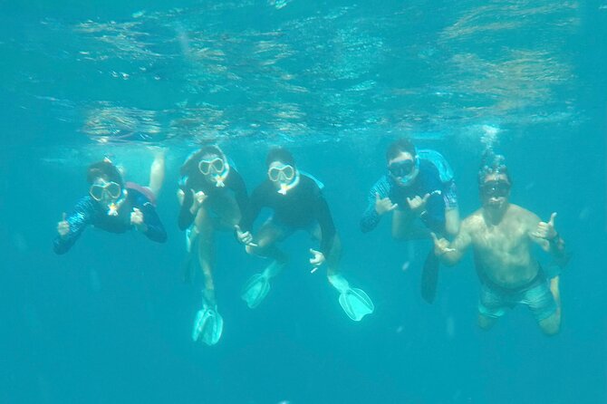 Waikiki small group turtle snorkeling & sailing - What to bring for a smooth, no-stress snorkel morning
