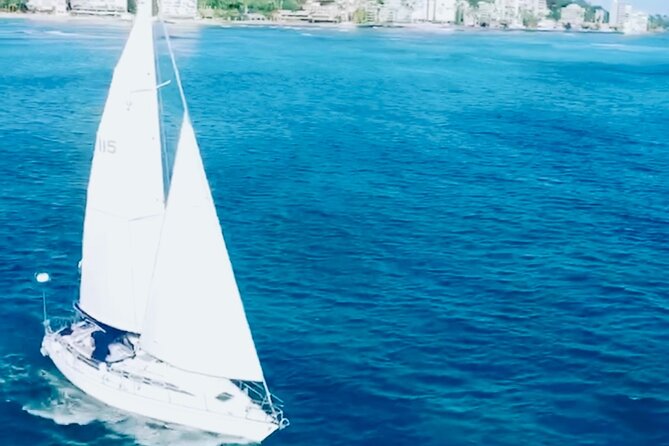 Waikiki small group turtle snorkeling & sailing - Who this tour fits best on Oahu