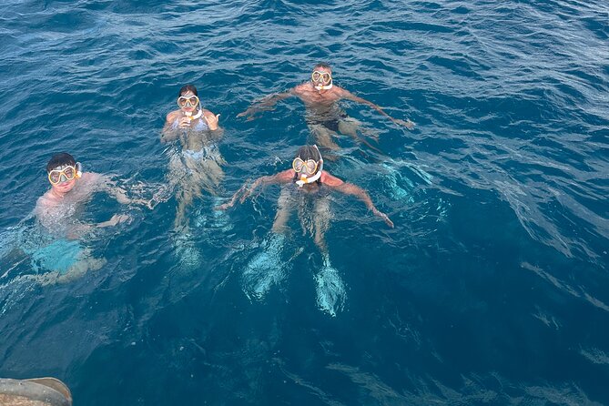Waikiki small group turtle snorkeling & sailing - Value check: is $99 for 2 hours a good deal?
