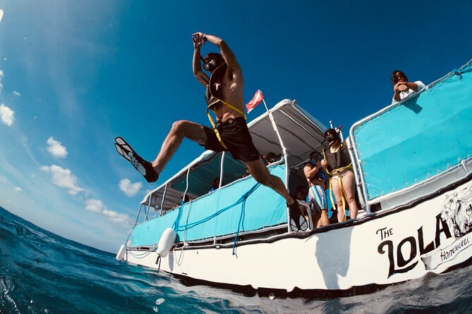 Waikiki Snorkel Tour - Waikiki Snorkel Tour: A Smart Location for a Short, Ocean-Focused Day