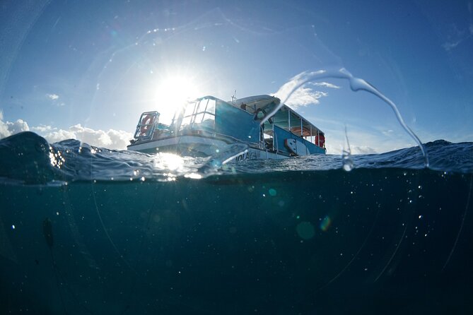Waikiki Snorkel Tour - Boat Ride Comfort and Crew Guidance: The Difference Between Trying and Doing