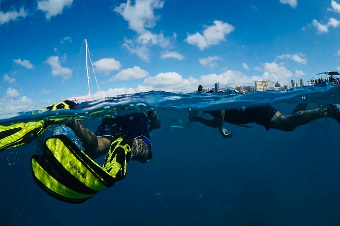 Waikiki Snorkel Tour - Price and Value: Getting a Guided Turtle Swim for $50