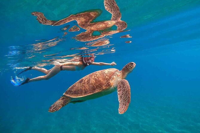 Waikiki Snorkeling Adventures with E Sea Diver! - Key points before you book