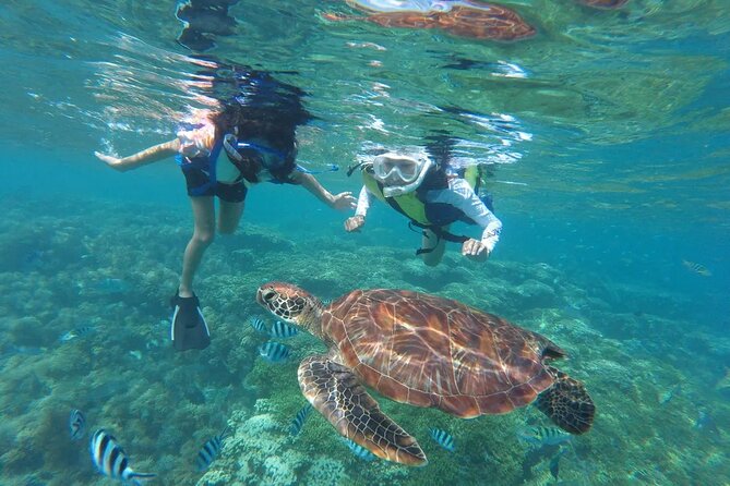 Waikiki Snorkeling Adventures with E Sea Diver! - Waikiki catamaran ride: smooth water, big views