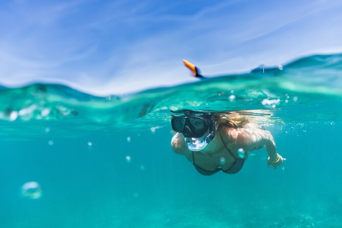 Waikiki Snorkeling Adventures with E Sea Diver! - Underwater reality: fish, turtles, and what you can control