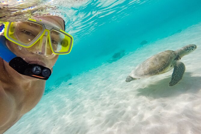 Waikiki Snorkeling Adventures with E Sea Diver! - How to improve your chances: a practical pre-snorkel checklist
