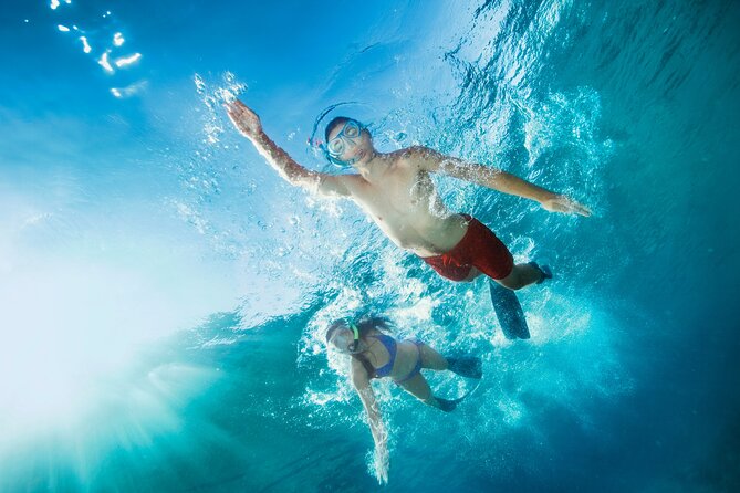 Waikiki Snorkeling Adventures with E Sea Diver! - Who should book E Sea Diver, and who should reconsider