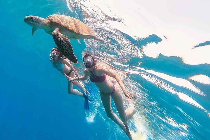 Waikiki Snorkeling Adventures with E Sea Diver! - Snorkeling setup: gear is included, guidance keeps it easy