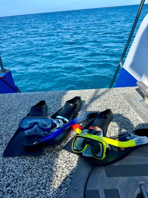 Waikiki Snorkeling and Ocean Waterpark Adventure - What to bring: simple gear, real sun protection