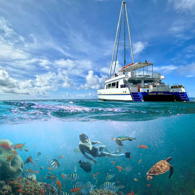 Waikiki Snorkeling and Ocean Waterpark Adventure - Water playground time: 35-foot slide, jump-off platform, floating mat