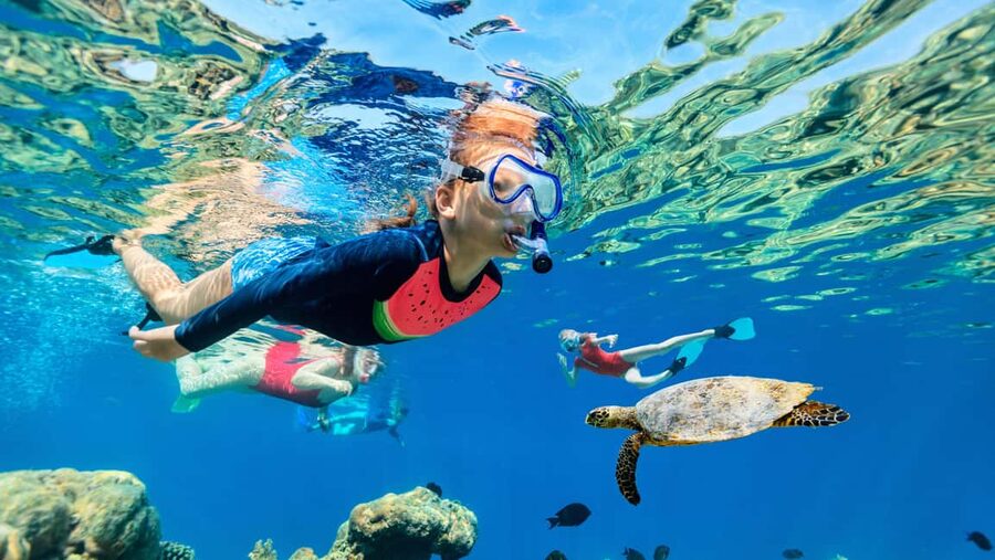 Waikiki: Snorkeling & Ocean Playground Experience - How the snorkeling works in Waikiki waters and what you might see