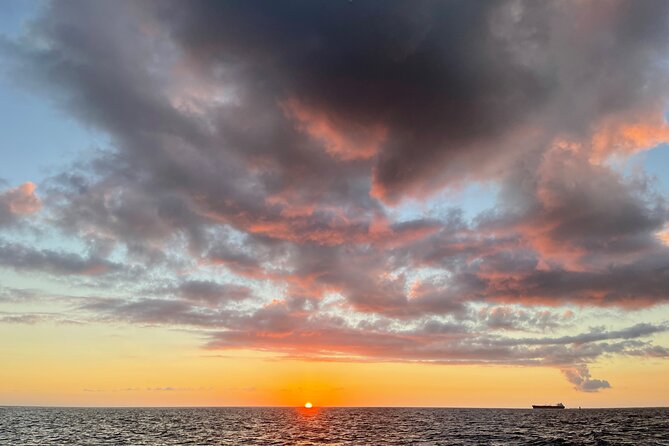 Waikiki Sunset Boat Cruise - The Waikiki-to-Diamond Head Route and the Wildlife You Might See