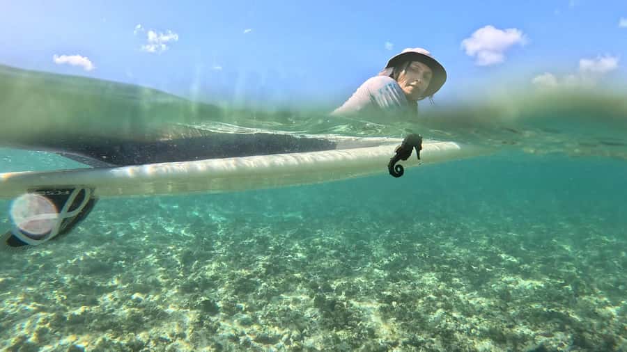 Waikiki: Surf Lessons Easy 60 min classes no crowds! - Gear, Land Demo, and the Real Skill-Set Behind Catching Waves