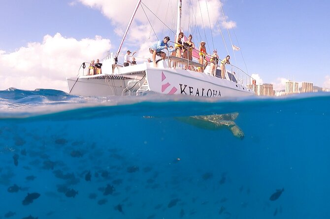 Waikiki: Turtle Canyon Snorkel - Turtle Canyon snorkeling: how your 30 to 45 minutes actually works