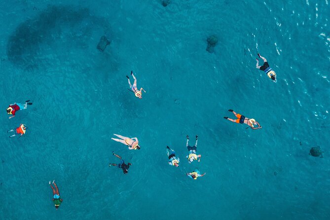 Waikiki: Turtle Canyon Snorkel - When it gets crowded, and when sea conditions decide the day