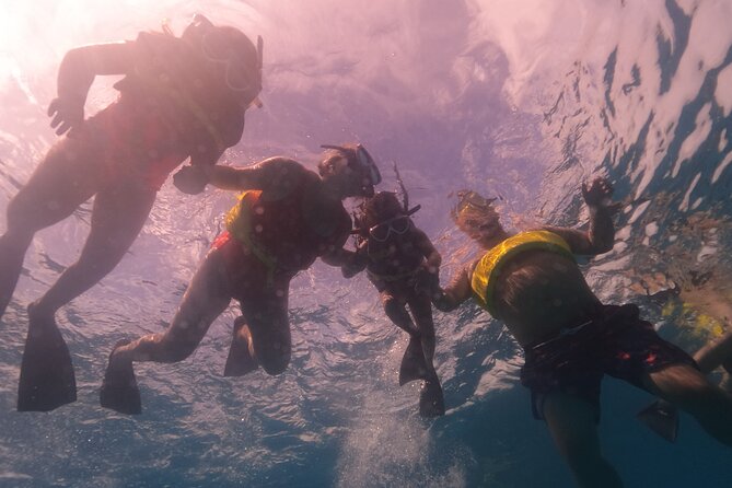 Waikiki: Turtle Canyon Snorkel - How this tour fits families, teens, and first-timers