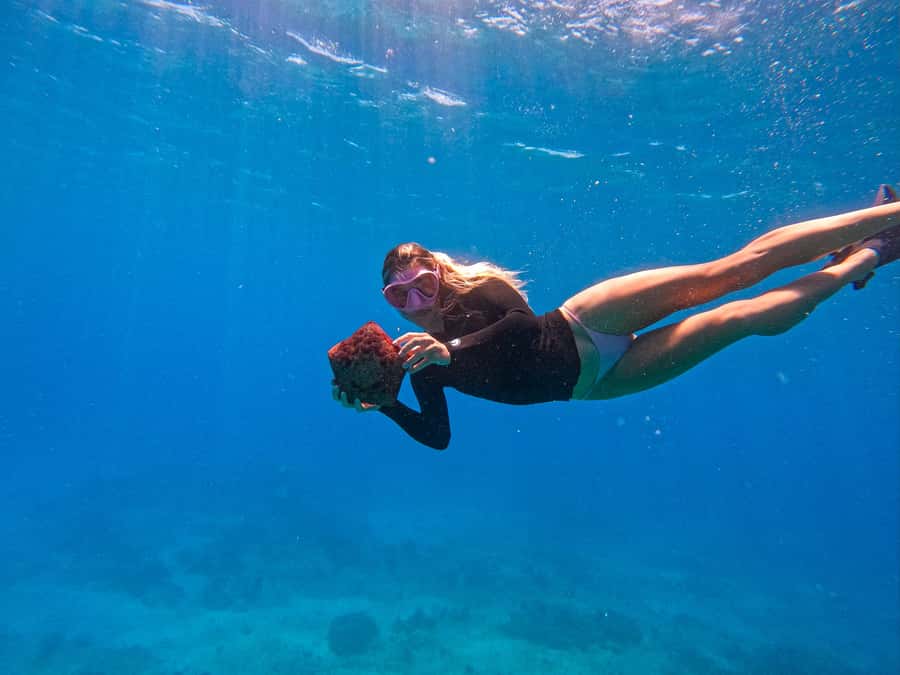 Waikiki: Turtle Canyon Snorkel Tour with Small Group - A fast Zodiac to Turtle Canyon: what the 90 minutes feel like