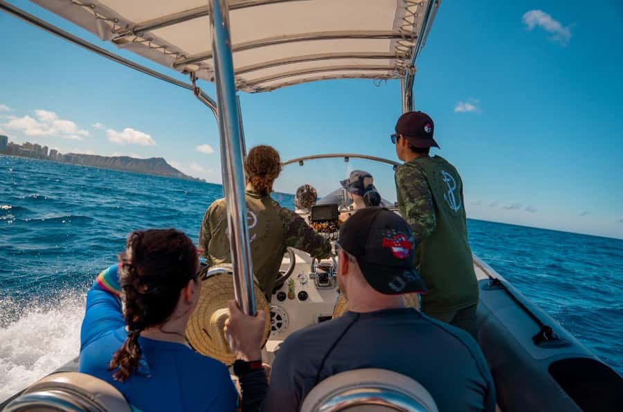 Waikiki: Turtle Canyon Snorkel Tour with Small Group - Should you book this Turtle Canyon snorkeling tour?