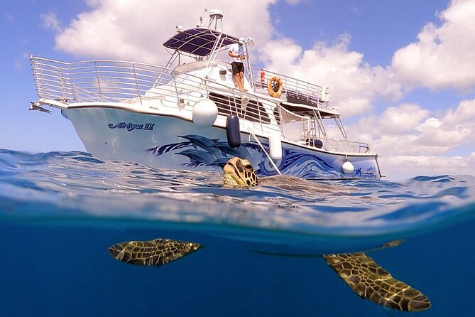Waikiki Turtle Snorkeling Tour with Complimentary Trolley Ride - The Turtle Canyon Factor: Why This Trip Works for First-Time Snorkelers