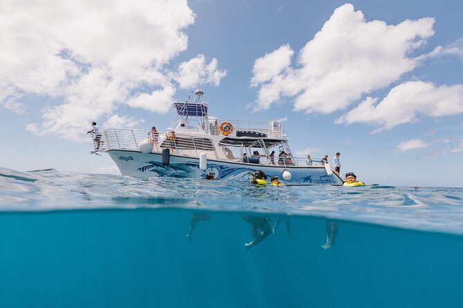 Waikiki Turtle Snorkeling Tour with Complimentary Trolley Ride - Double-Decker Boat Time: Diamond Head Views and Photo-Ready Crew