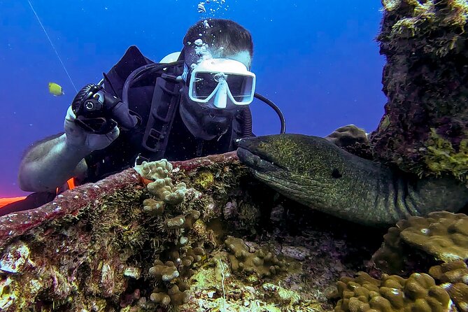 Waikiki Two Tank Guided Scuba Diving Adventure: Certified Diver - Two tanks in about four hours: what the day feels like