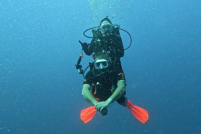 Waikiki Two Tank Guided Scuba Diving Adventure: Certified Diver - Wildlife odds: what you may see around Oahu’s south shore