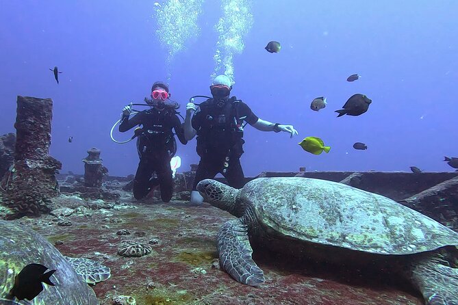 Waikiki Two Tank Guided Scuba Diving Adventure: Certified Diver - Why the guide team makes or breaks it