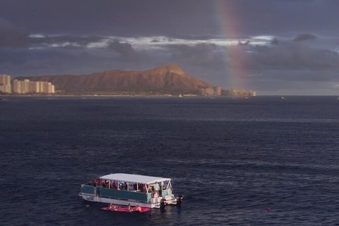 Waikiki Whale Watching Cruise - Waikiki plus Diamond Head, the two views you came for