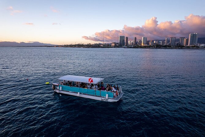 Waikiki Whale Watching Cruise - Meeting point at Ala Moana: the part that decides how smooth your start feels