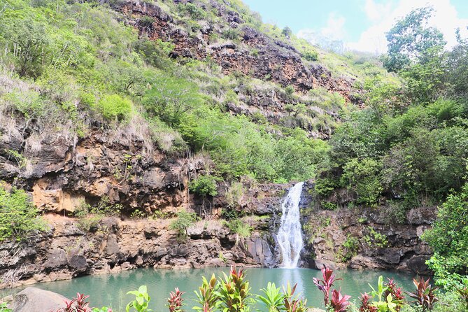 Waimea Valley Waterfall Swim & Dole Plantation Tour with Lunch - Dole Plantation Stop: Pineapple History With a Time-Limited Feeling
