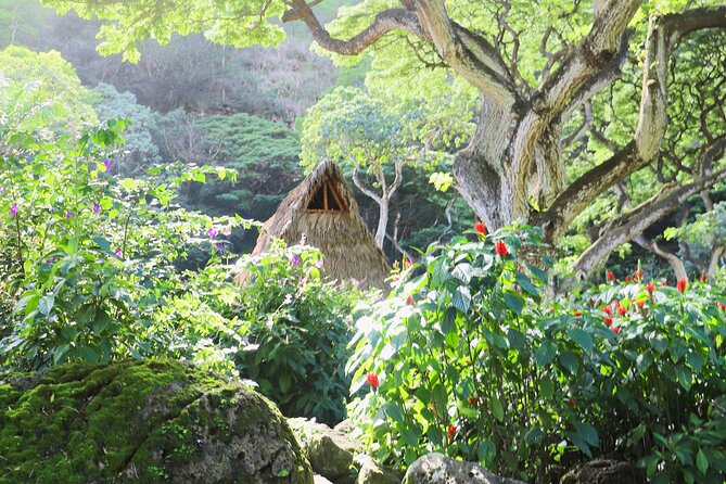 Waimea Valley Waterfall Swim & Dole Plantation Tour with Lunch - Price and Logistics: Is $120.60 Good Value?