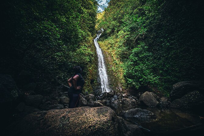 Waterfall Hike in Hawai'i Rainforest Trail - The Guide Makes the Day: What You Gain with a Max of 10