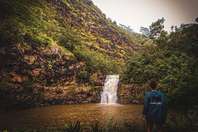 Waterfall Hike in Hawai'i Rainforest Trail - What’s Included, What’s Not, and the Value Angle