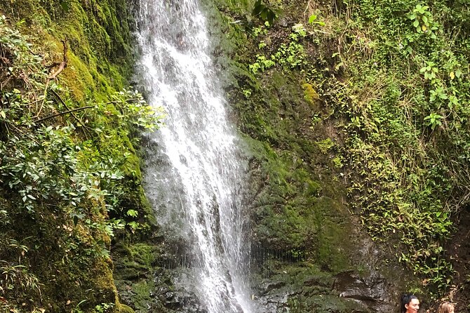 Waterfall Hike , Sightseeing & East Side Beach Day - Key things to know before you go