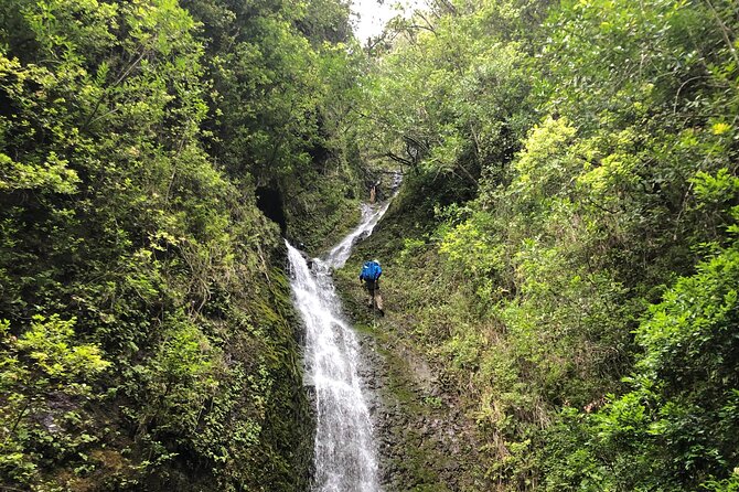 Waterfall Hike , Sightseeing & East Side Beach Day - Pickup, timing, and how the small group helps