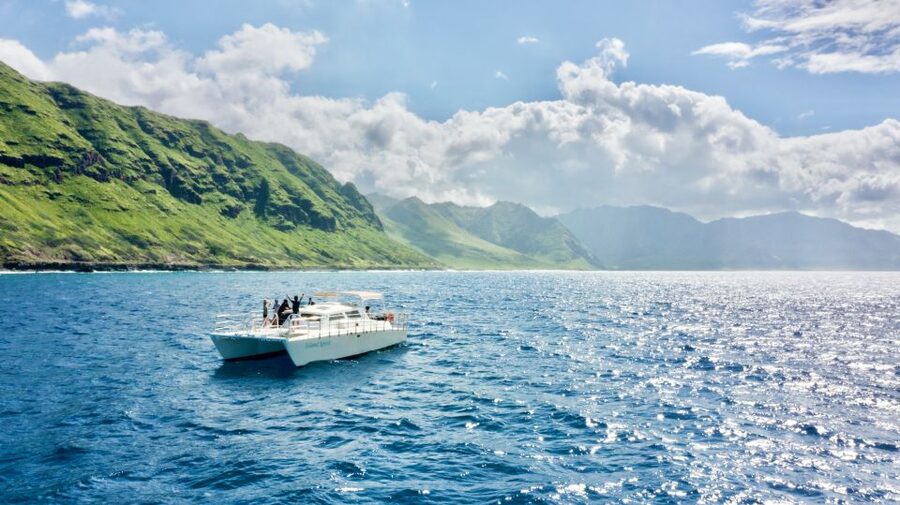 West O'ahu: Swim with Dolphins Catamaran Cruise - Wildlife Searching in the West O’ahu Waters: Dolphins, Turtles, and More