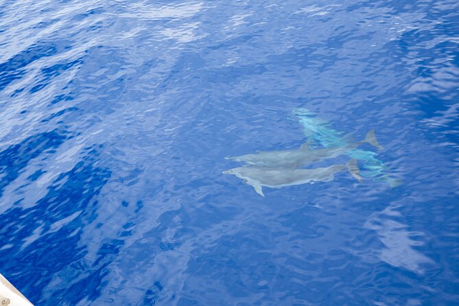 West Oahu Afternoon Turtle Snorkel Sail - Food, drinks, and onboard comfort on a half-day sail